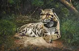 Pip McGarry, Clouded Leopard, 1999, oil on canvas
