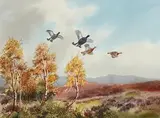 Robert W. Milliken, Startled Grouse