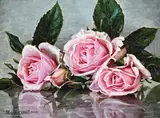 Mark O'Neill, Pink Trio