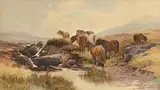 Thomas Sidney Cooper British, Horses in the Highlands, 1877, watercolour