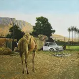 Martin Gale, The Camel Hire Business