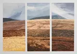 Trevor Geoghegan, Wicklow Landscape