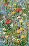 Kenneth Webb, Wild Flower Meadow