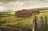 Martin Gale, Copse, Co. Wicklow