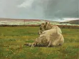 Martin Gale, Bull