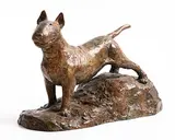 Stephen McKeown, English Bull Terrier