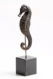 John McLaughlin, Sea Horse