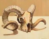Michael Baird, Sheep's Skull, 1959, oil on board
