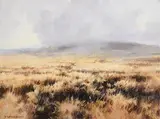 Trevor Geoghegan, Distant Rain