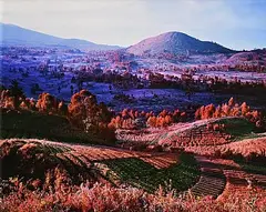 You are Wherever Your Thoughts Are, North Kivu, Eastern Congo by Richard Mosse, 2012, digital chromogenic print - number 1 from an edition of 30 aside from 2 artist's proofs, sold Apr 2020