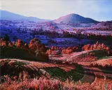 Richard Mosse, You are Wherever Your Thoughts Are, North Kivu, Eastern Congo, 2012, digital chromogenic print - number 1 from an edition of 30 aside from 2 artist's proofs