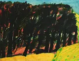 William Crozier, Collins's Field