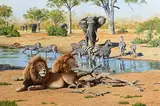Steve Burgess Canadian, The Watering Hole