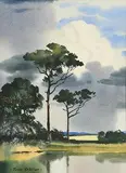 John Skelton Snr, The White Cloud, The Liffey, Chapelizod
