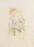 Salvador Dali Spanish, Man Among Poppies (From Song of Songs), limited edition hand coloured drypoint etching - numbered 16 from an edition of 50