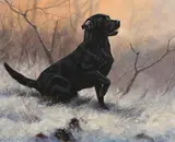 John Trickett, Gun Dog
