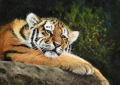 Restful Tiger by Pip McGarry, 2015, oil on canvas, sold Mar 2020