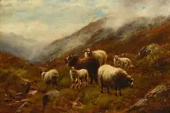 William Henry Watson, Highland Sheep, Glen Coe, oil on canvas
