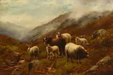 William Henry Watson, Highland Sheep, Glen Coe, oil on canvas