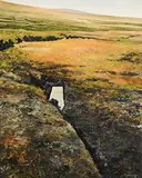Niall Wright, Cutaway II, oil on canvas