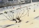 James Hall Flack, Winter Rose, watercolour
