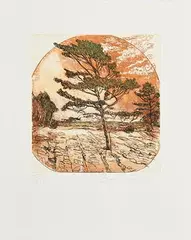 Brian Bourke Hrha Irish, Scots Pine on Limestone, 2004, limited edition lithograph - numbered 52 from an edition of 220
