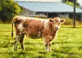 Mark O'Neill, Close to Home, 2017, oil on board