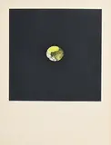 Louis le Brocquy, Le Citrous, etching - numbered 27 from an edition of 75