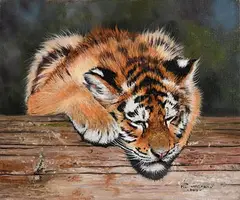 Let Sleeping Tigers Lie by Pip McGarry, 2018, oil on canvas, sold Jan 2020