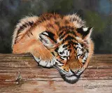Pip McGarry, Let Sleeping Tigers Lie