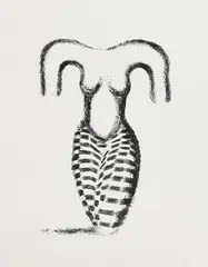 Torso 3 by Stephen Cox, 1989, lithograph - artist's proof aside from an edition of 55, offered Jan 2020