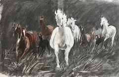 Poppy Hunt, Wild Horses, charcoal