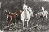 Poppy Hunt, Wild Horses, charcoal