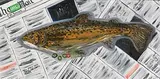 Hazel Revington Cross, Brown Trout, oil on board