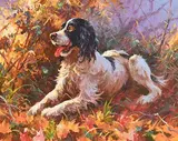 Donal McNaughton, The Gun Dog, oil on board