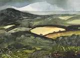 Cherry Turpin, The Yellow Field, watercolour