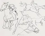 John Skelton Snr, Horse Studies