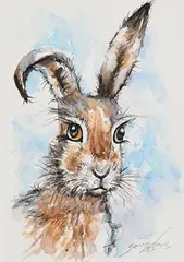 Andy Saunders, Hare, watercolour