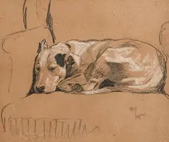 Cecil Aldin, Slumbering Dog, watercolour, pencil on paper