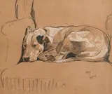 Cecil Aldin, Slumbering Dog, watercolour, pencil on paper
