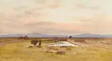 Joseph William Carey, On the Bog of Allen