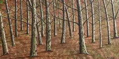 Pauline Walsh, Between the Woods, oil on canvas