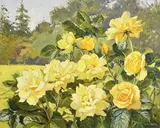 Geraldine M. O'Brien, Yellow Roses