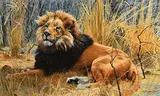 Matthew Hillier South African, King of the Beasts, 1996, oil on board