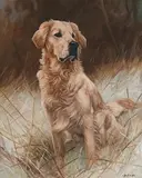 John Trickett, Golden Retriever