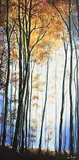 Simone Puorger, Morning Light