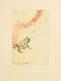 Patrick Hickey, Toad and Spider, Early Morning June