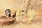 Helen Sophie O'Hara, A Young Family, watercolour
