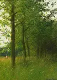Thomas Ryan, Aspens, 1983, oil on canvas board
