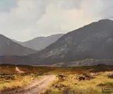 Eileen Meagher, Bog Road, Maam Valley, Connemara, 1993, oil on canvas